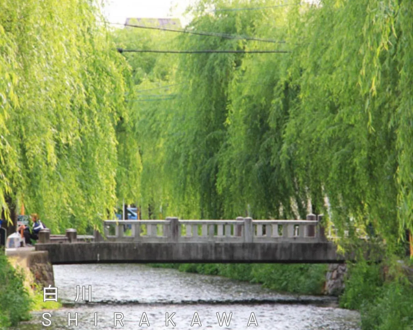 Kyoran-Getkotei - Vacation Stay 56959V Kyoto
